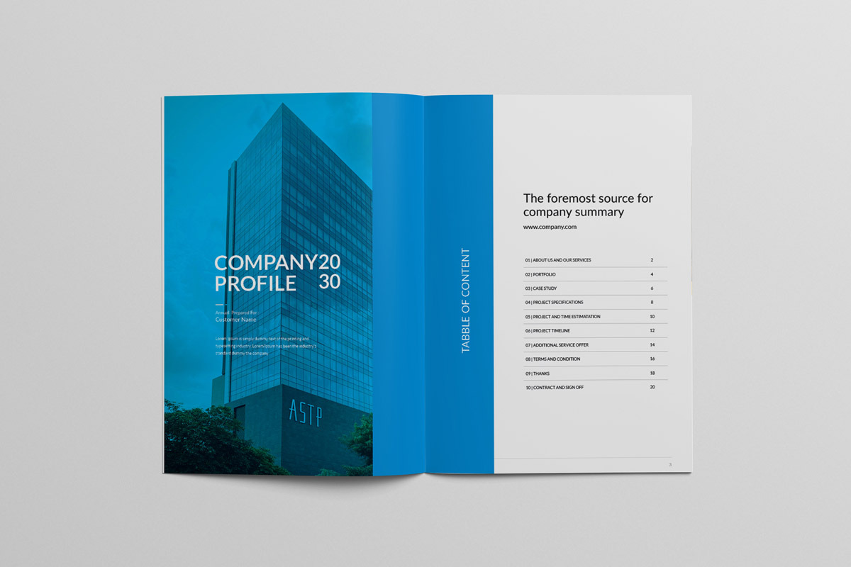 Business Company Profile Template, a Brochure Template by Taiffco (Photo 2 of 8)