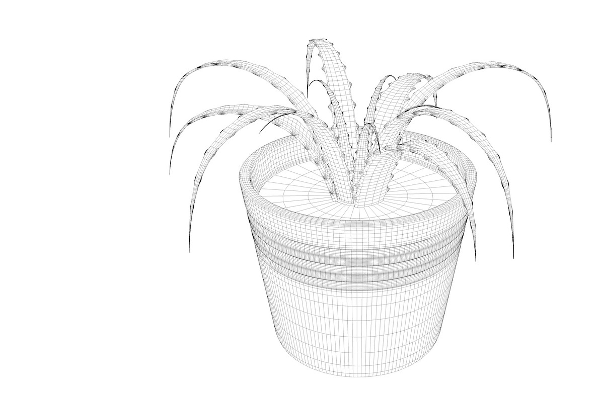 Plant n°1, an Object 3D Model by 3D Furnishing (Photo 17 of 20)