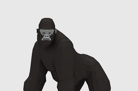 Gorillas, an Animal 3D Model by Studio Ochi