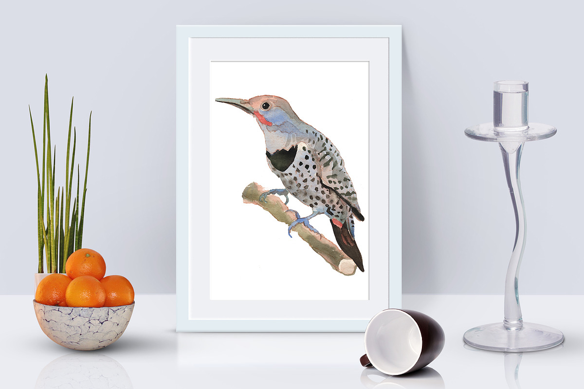 American Birds Watercolor Set, an Illustration by Malena (Photo 3 of 4)