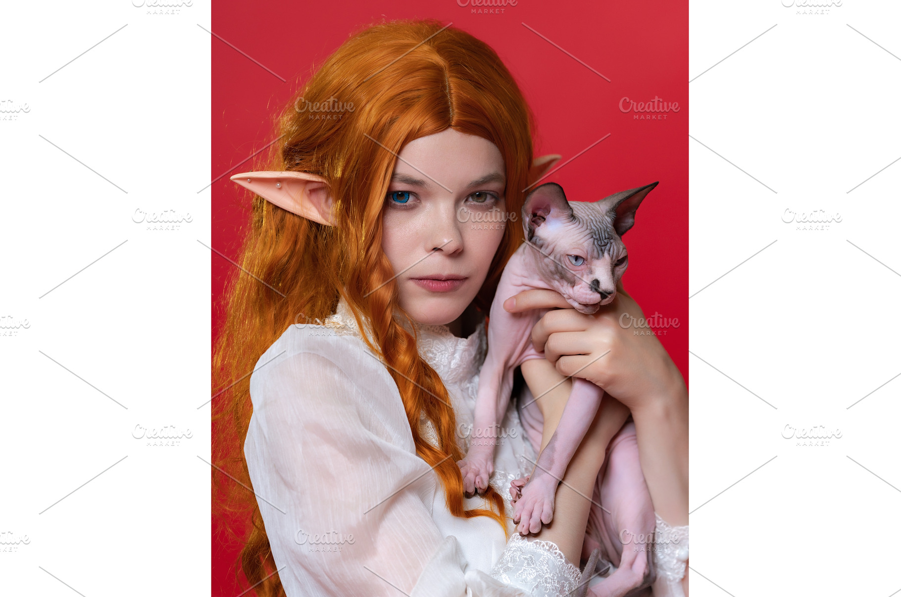 Portrait of cosplayer elf and cat, a Person Photo by Alexander-Piragis