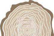Wood Slice, an Illustration by beingsaradixon (Thumbnail 2 of 2)