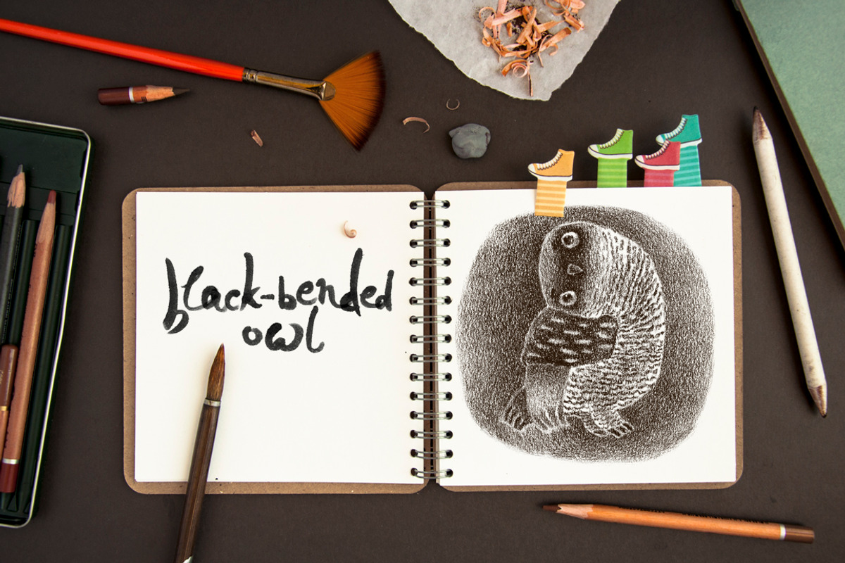 Tiny Owls Album, an Animal Illustration by Mazheika Store (Photo 4 of 9)
