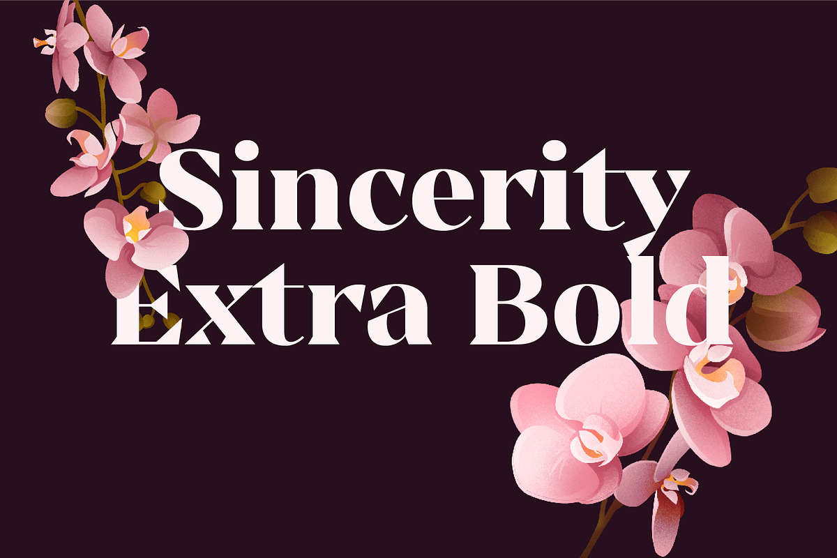 Sincerity Extra Bold, a Serif Font by OceaneM (Photo 1 of 6)