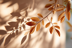 Delicate autumn leaves casting intricate shadows in soft light, a Photo by AlyaAnd