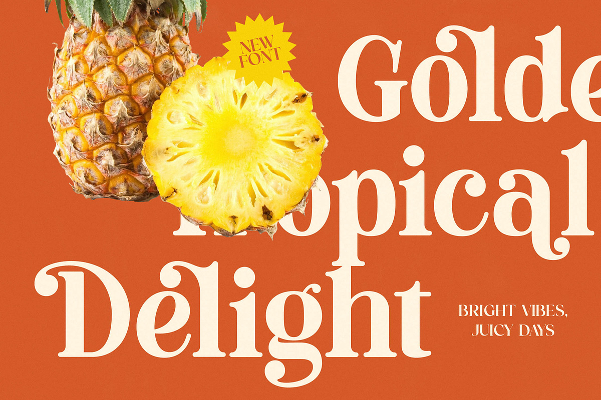 Roman Magicel Modern Alternate Ser, a Serif Font by timelesstype.co (Photo 12 of 20)