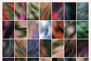 Floral Drift - Blurry Backgrounds, a Background Graphic by Dina Mae (Thumbnail 13 of 14)