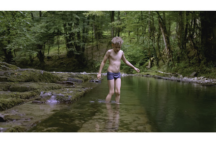 Boy walks on rocks in water in wild, a Person Photo by Media Whale Stock