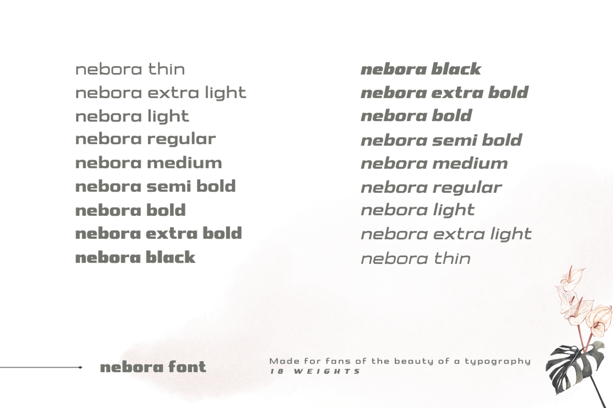 Nebora, a Sans Serif Font by productype1 (Photo 4 of 16)