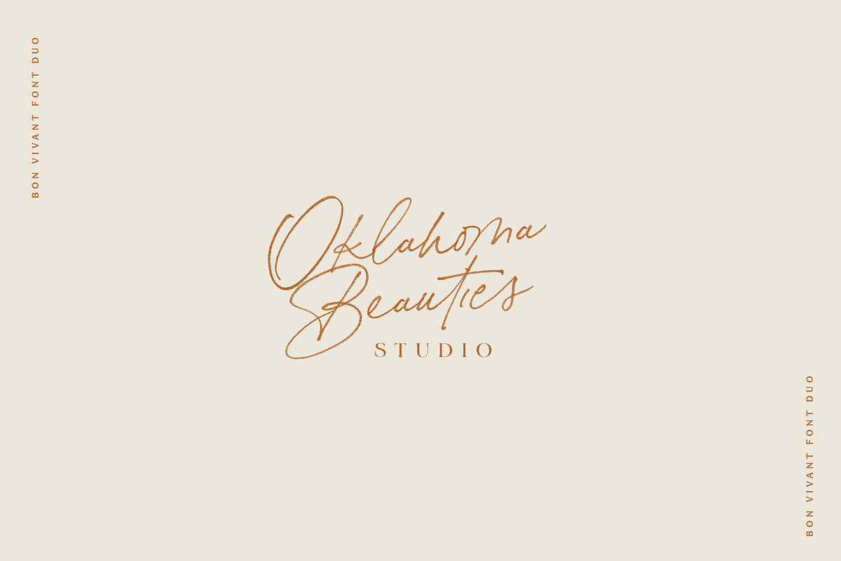 Bon Vivant Collection, a Serif Font by Nicky Laatz (Photo 21 of 44)