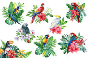 Tropical birds watercolor clipart, an Animal Illustration by Hanna Hryharenka (Thumbnail 12 of 12)