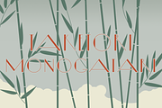 Diamond Ring, a Sans Serif Font by Dharma Type (Thumbnail 6 of 10)