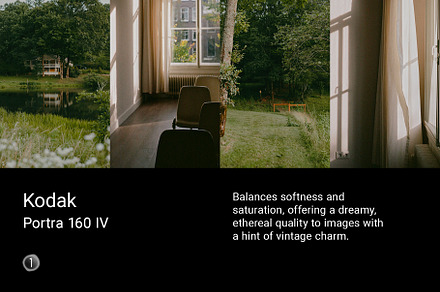 Kodak Portra 160 IV, a Preset Add-On by colorituals