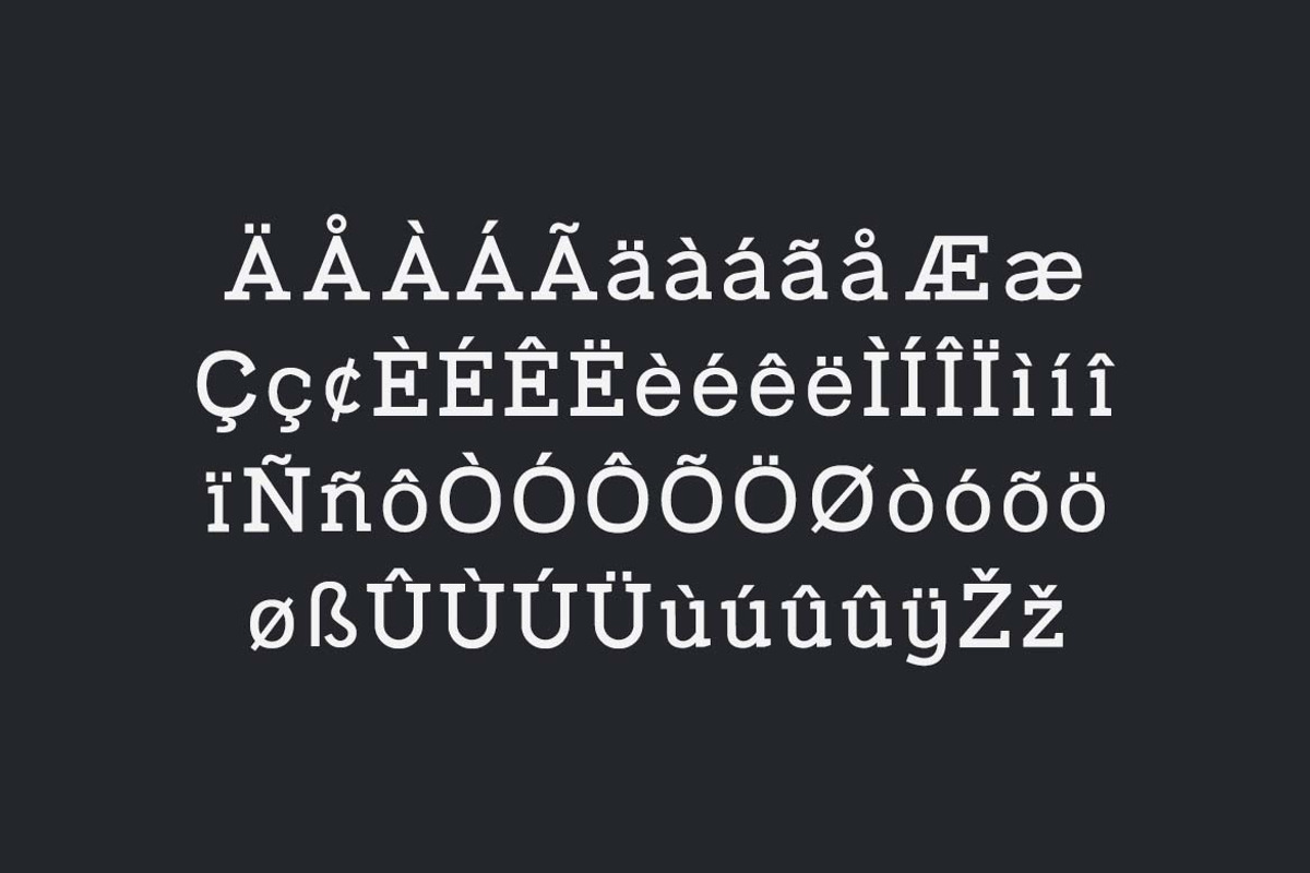 Defray Slab Font Family, a Slab Serif Font by UICreative (Photo 7 of 13)