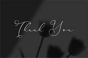 Hardyela Sandert Ballpoint Signature, a Script Font by Storytype Studio (Thumbnail 15 of 15)
