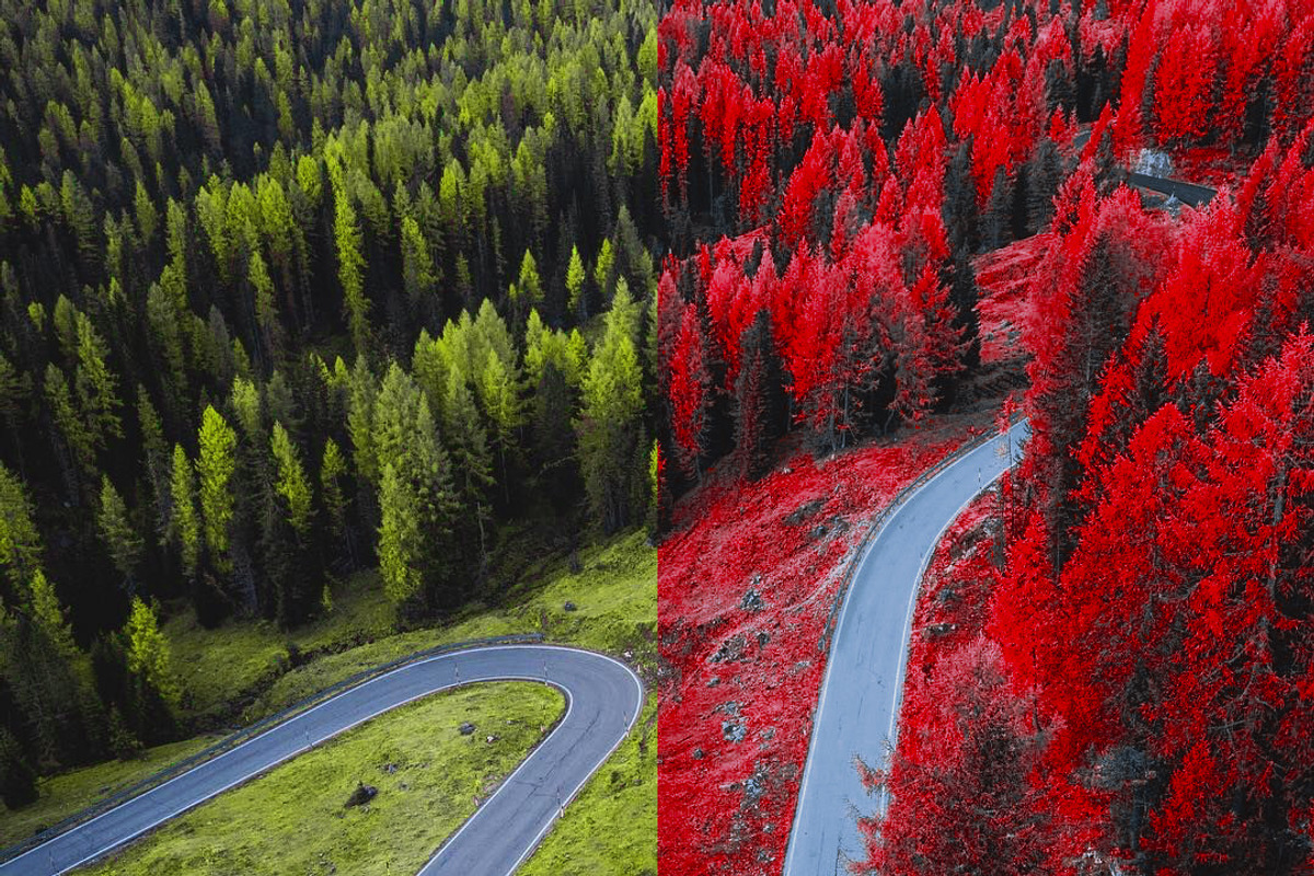 454 Infrared Fantasy Pro LUTs, a Preset Add-On by ShutterPro (Photo 31 of 48)