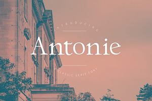 Antonie Classic Serif Font