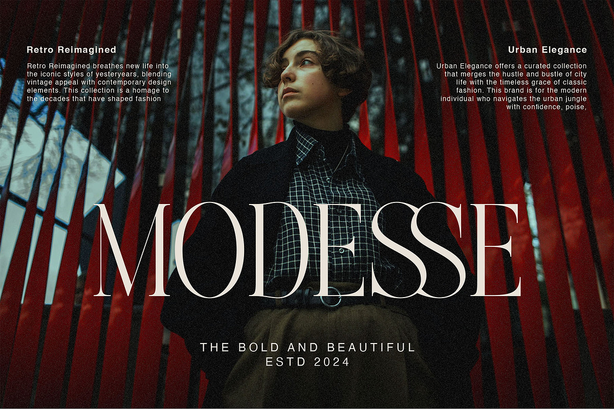 Avelire-modern ligature, a Serif Font by ToniStudio (Photo 6 of 11)