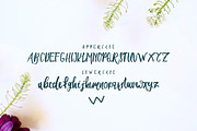 Seiroetan, a Script Font by Dotibn Studio (Thumbnail 4 of 7)