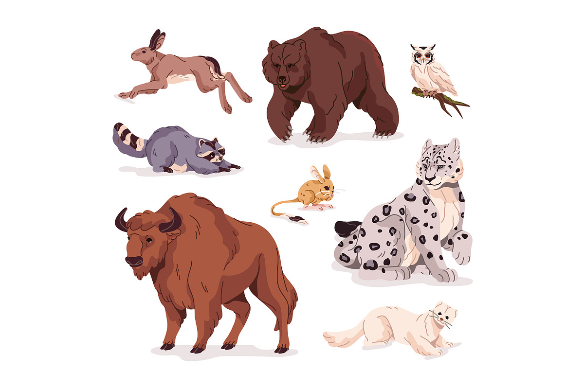 Wild forest animals set, patterns, an Animal Illustration by PaperTrident (Photo 3 of 6)