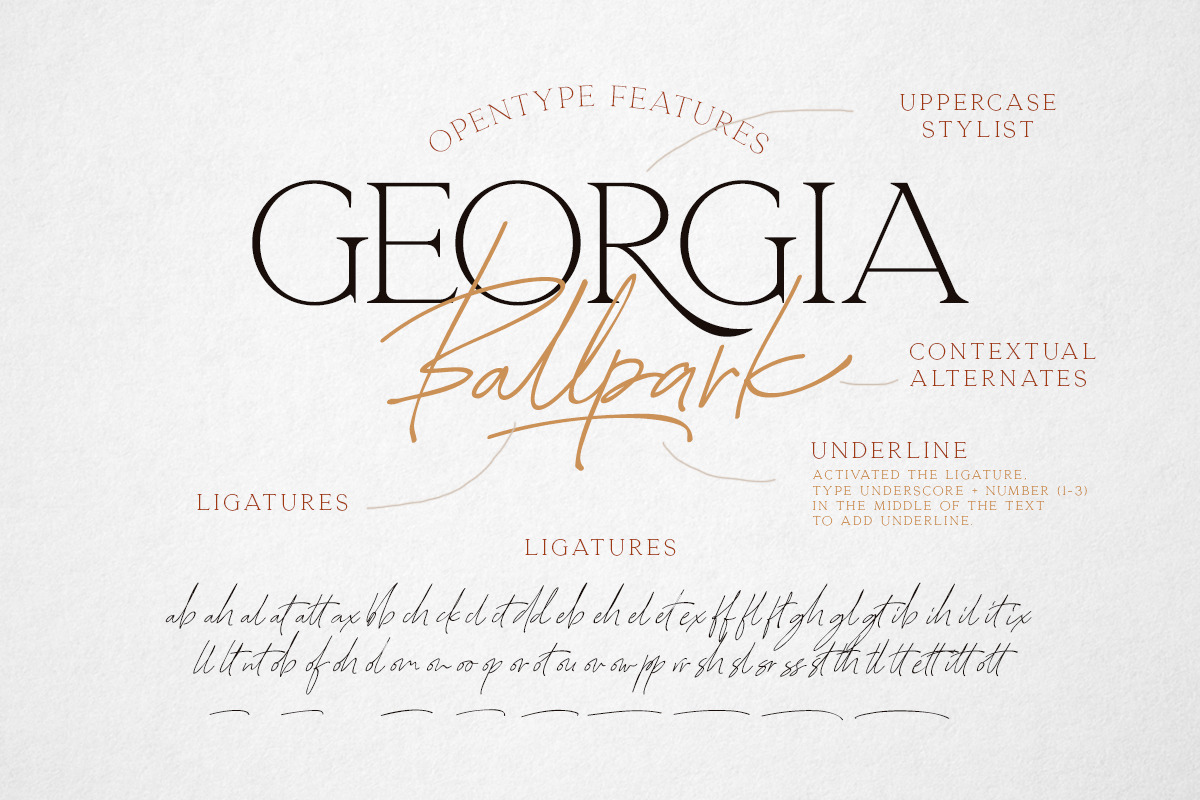 Georgia Ballpark - FONT DUO preview 5