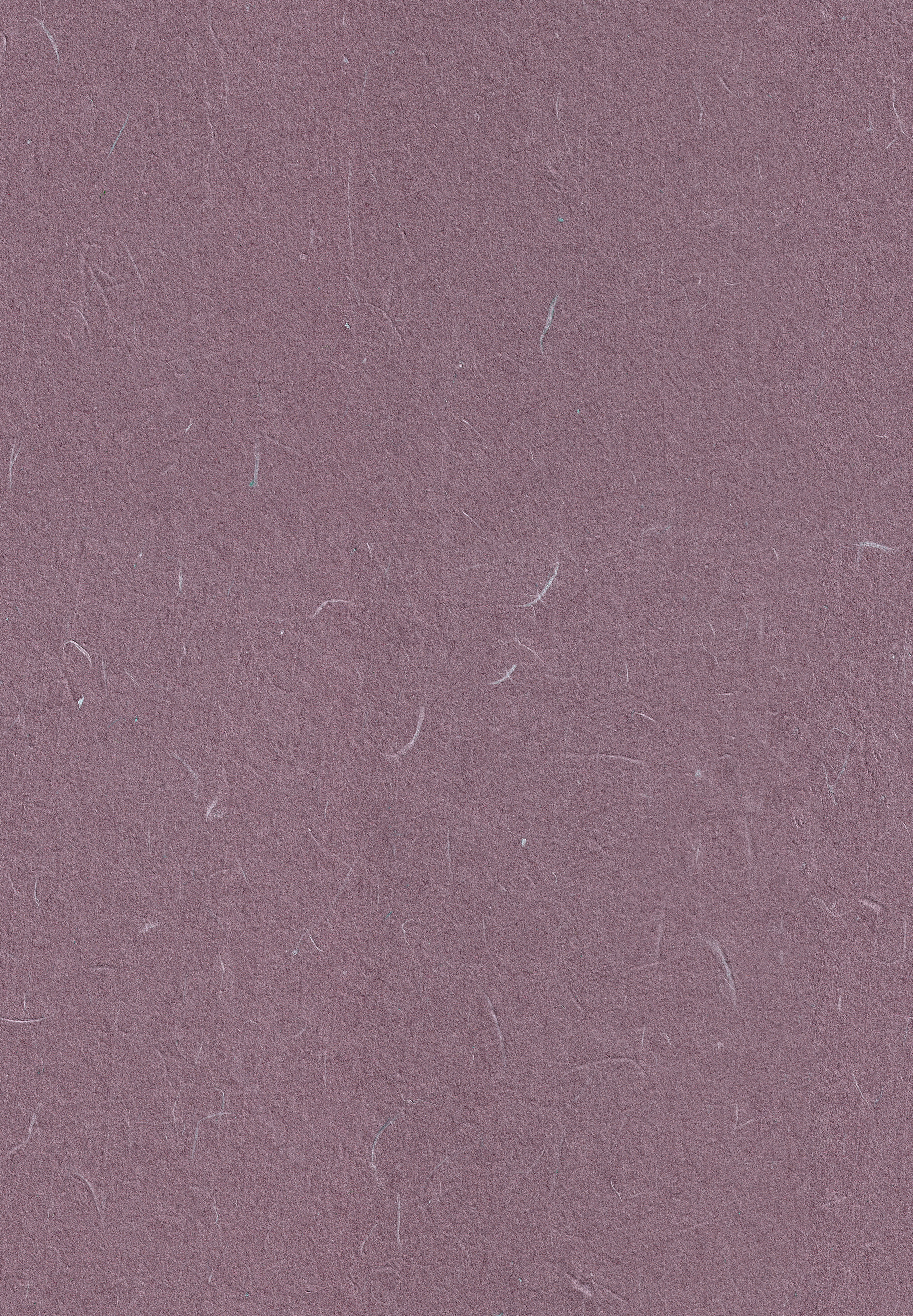 Fibers Rice Paper Texture. Light Wood, Strikemaster, Ferra, Venus Color ...