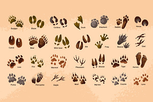 Animals tracks, paw and hoof prints, an Animal Illustration by PaperTrident