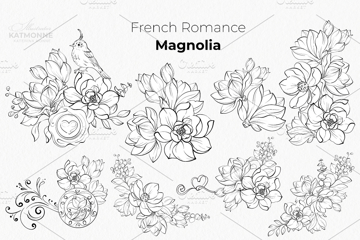 Magnolia Line Art Botanical Vector, a Decorative Illustration by katmonne (Photo 6 of 13)