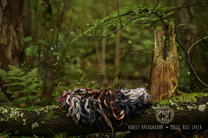 Newborn digital background featuring newborn prop, digital prop, and photo