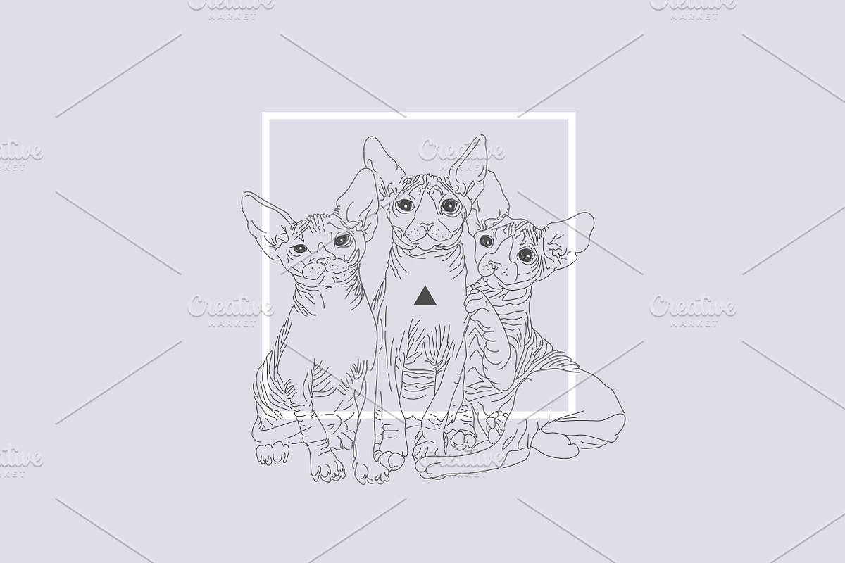 The cats, an Animal Illustration by 2D/3D (Photo 1 of 5)