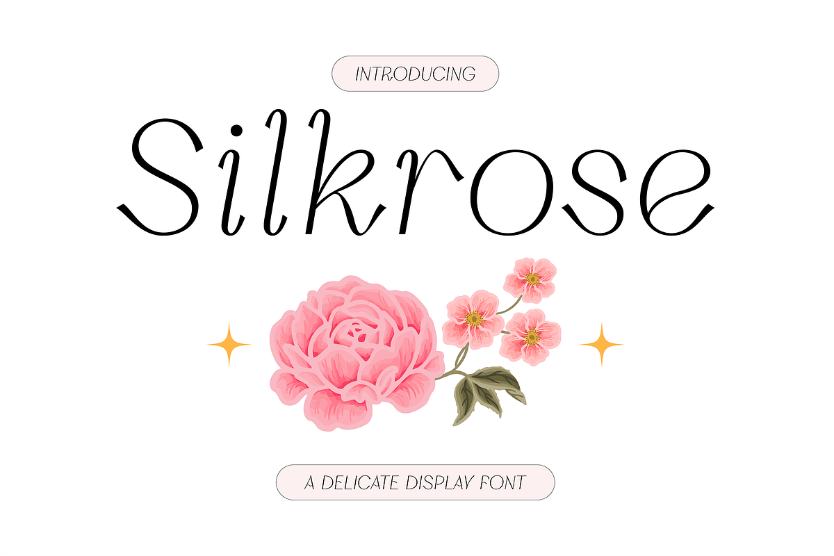 Silkrose - Delicate Display Font, a Sans Serif Font by Artflorara (Photo 1 of 14)