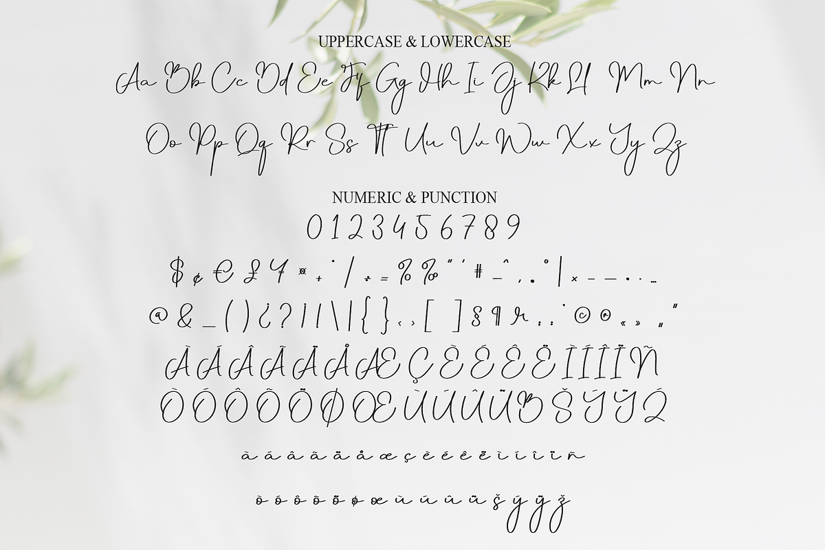 Monday | Script Font, a Handwritten Font by Scratchones (Photo 7 of 9)