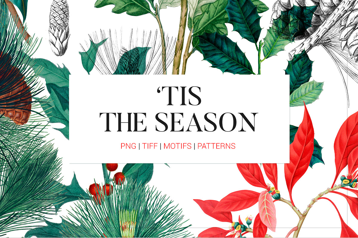 ‘Tis the season, a Pattern Graphic by TSTUDIO (Photo 1 of 8)