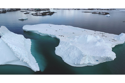 Giant melting icebergs drift arctic