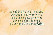 Camilia - Handwritten Script Font, a Script Font by Mila Visuals (Thumbnail 3 of 4)