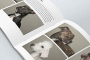 Elegant Photo Album A4 + Letter, a Brochure Template by Luuqas Design (Thumbnail 7 of 7)