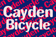 Takeda Sans Display Font Rounded, a Sans Serif Font by Maulana Creative (Thumbnail 6 of 6)