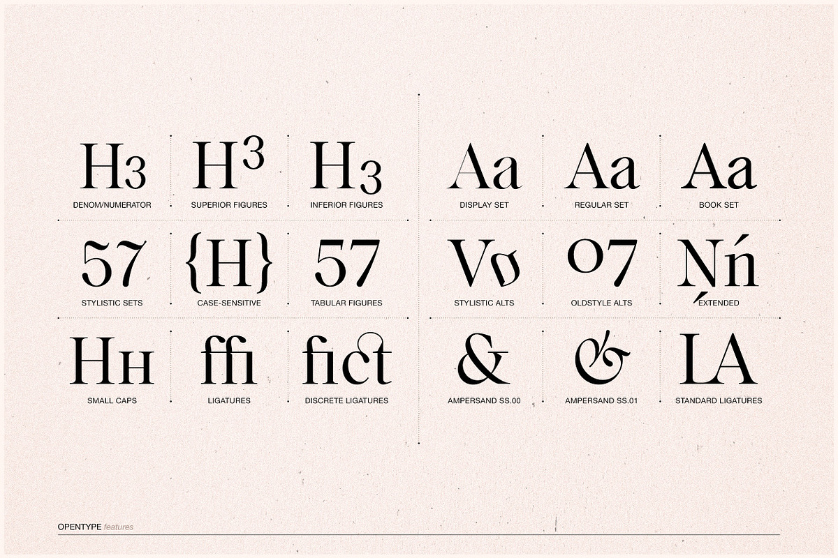 Voxas | 54 Font Serif, a Serif Font by Anthony James (Photo 22 of 22)