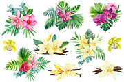 Orchid flowers watercolor, a Decorative Illustration by Hanna Hryharenka (Thumbnail 4 of 9)