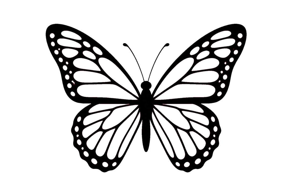 Black butterfly silhouette with, an Object Illustration by ZinetroN (Photo 1 of 3)