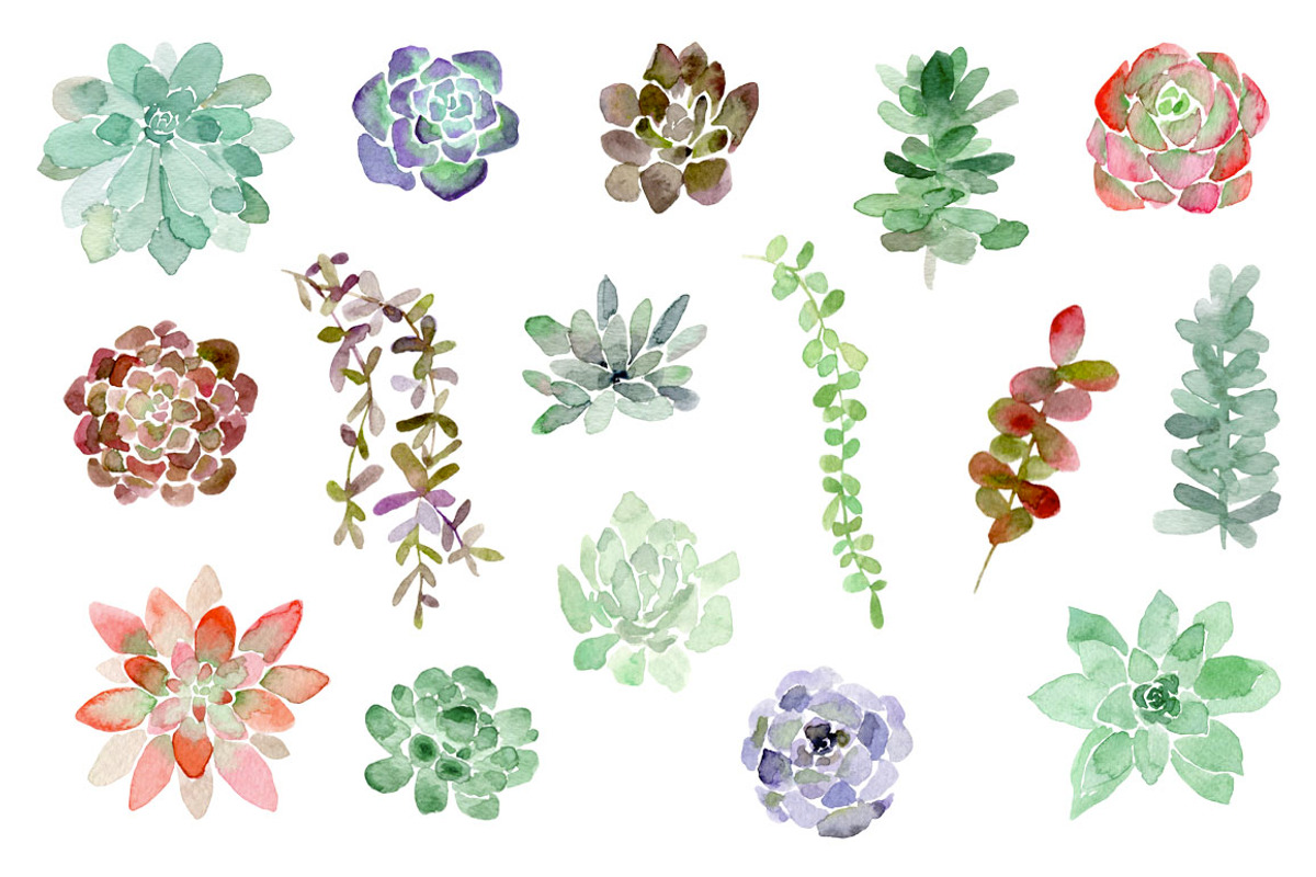Watercolor Succulents, an Illustration by MariePierLaf (Photo 2 of 3)