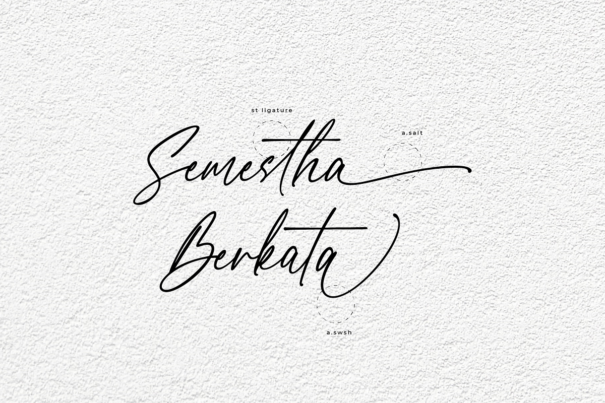 Blessed Signature Font, a Script Font by Pen Culture (Photo 9 of 11)