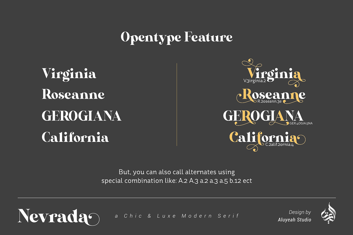Nevrada Modern Display Font, a Font by Aluyeah Studio (Photo 8 of 12)