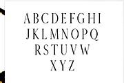 Veera Serif 4 Font Family Pack, a Serif Font by Creativetacos (Thumbnail 2 of 5)