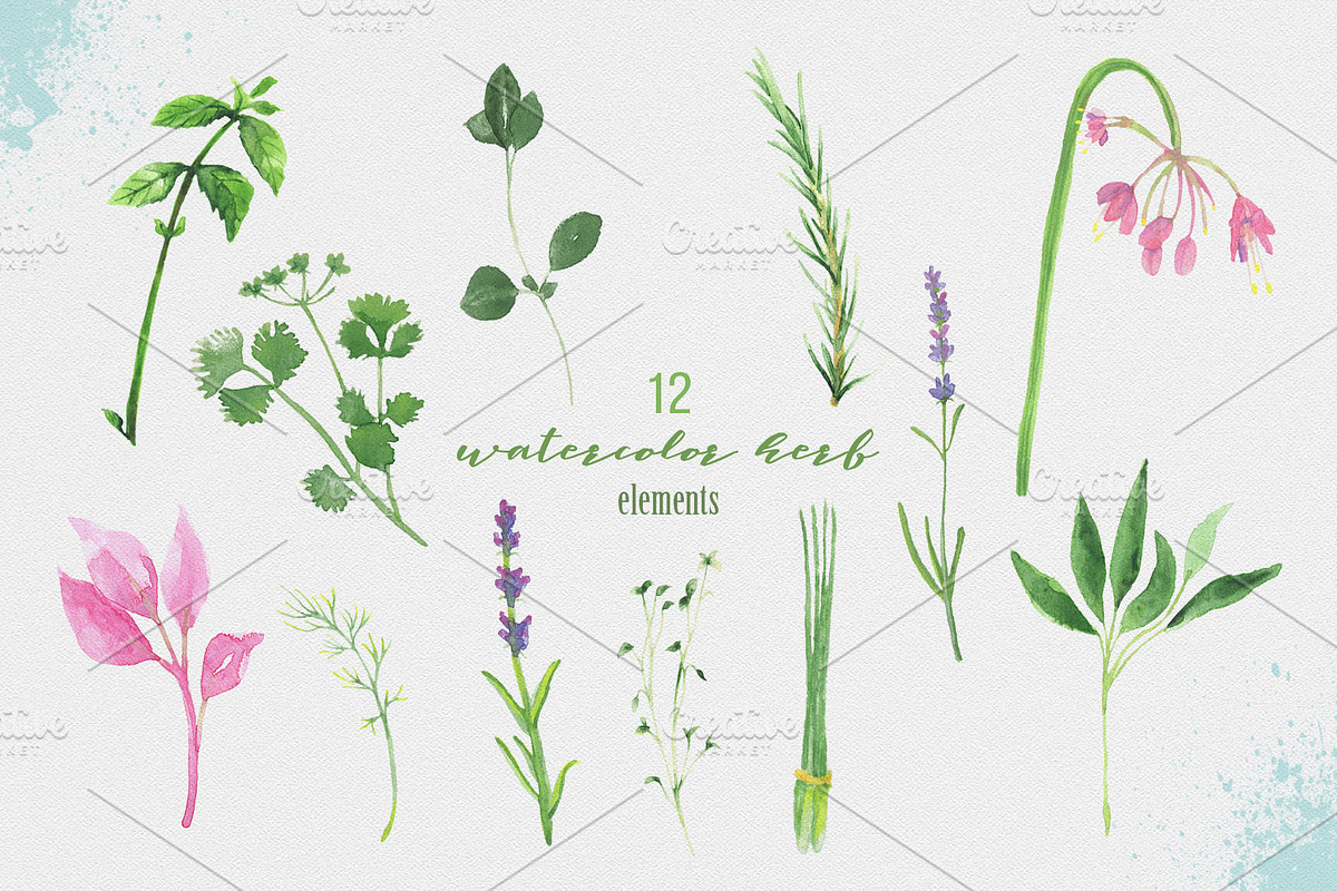 Watercolor Herbs, a Food Illustration by Paperon Design (Photo 2 of 3)
