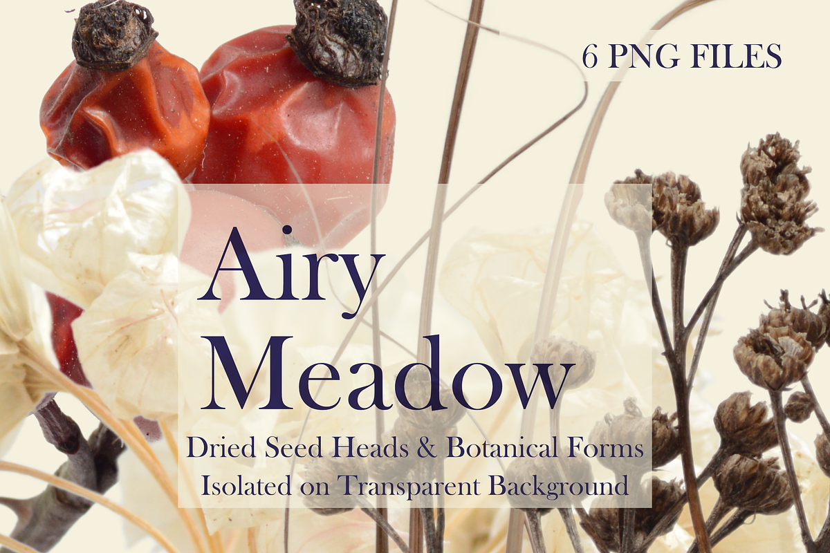 Airy Meadow — Dried Seed Heads PNG, an Object Graphic by Aga Silva (Photo 7 of 10)