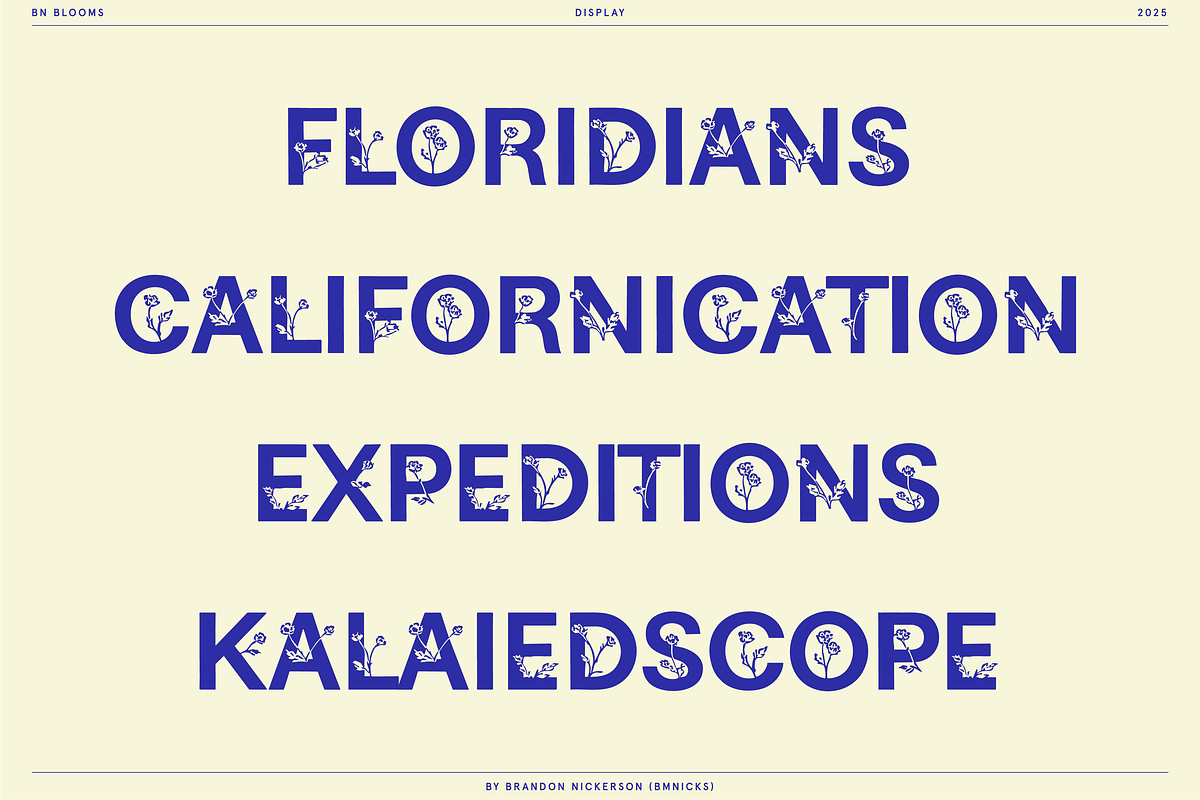 BN Blooms, a Sans Serif Font by Bnick (Photo 2 of 17)