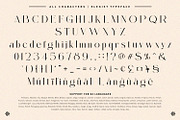 Elegist, a Sans Serif Font by Nathatype (Thumbnail 9 of 10)