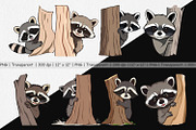 Peeking Raccoon Clipart, a Graphic by Artnoy (Thumbnail 2 of 5)