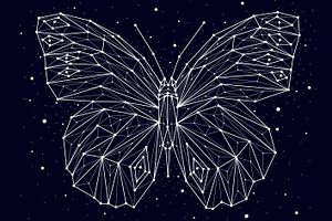 Constellation Butterfly